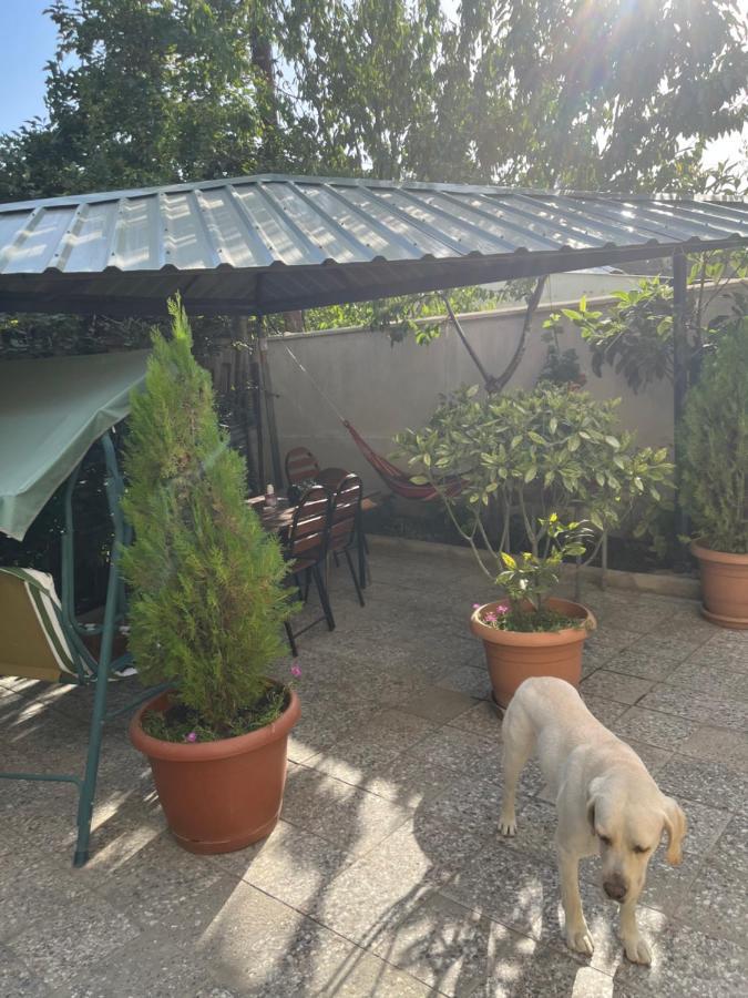 Cozy Space In Tbilisi Luaran gambar